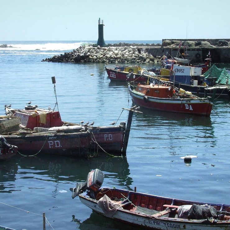 Terminal Pesquero de Antofagasta