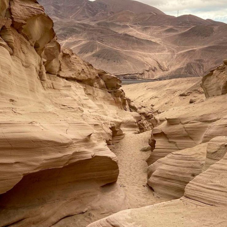 Quebrada Carrizo Antofagasta