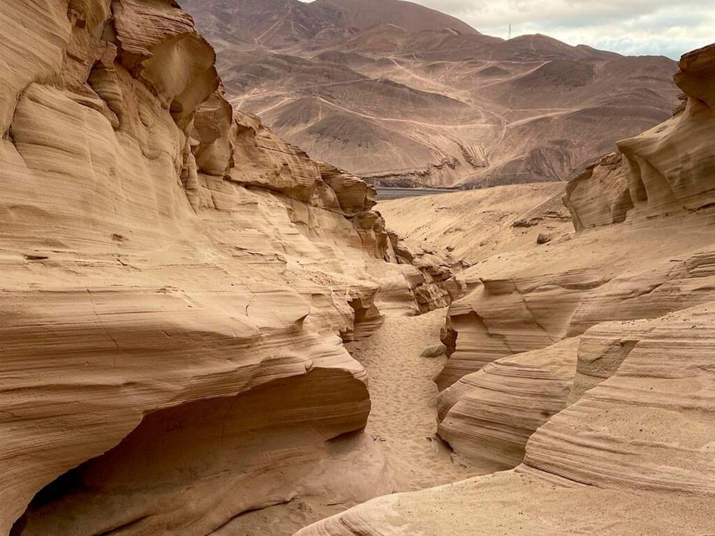 Quebrada Carrizo Antofagasta